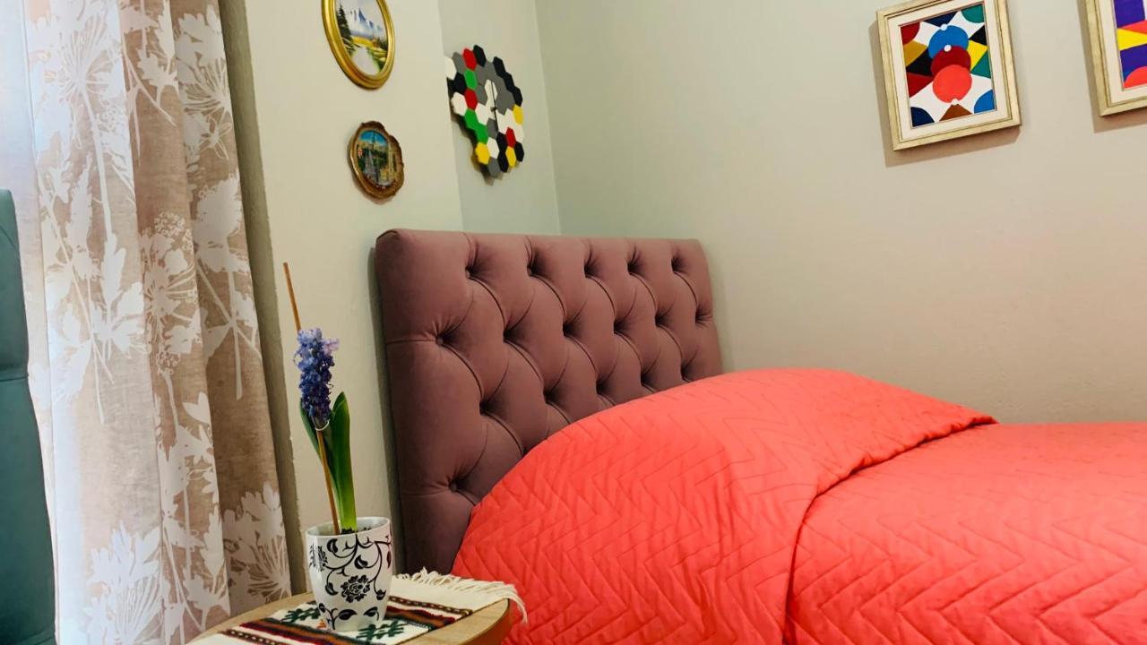 Central Comfy Apartment ติรานา ภายนอก รูปภาพ